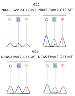 NRAS-EXON-1-1