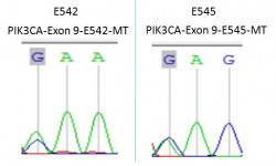 PIK3CA-EXON-9-1