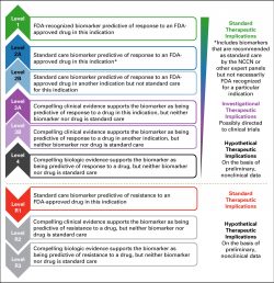 OncoKB: A Precision Oncology Knowledge Base - FemtoPath | HongJing弘晉